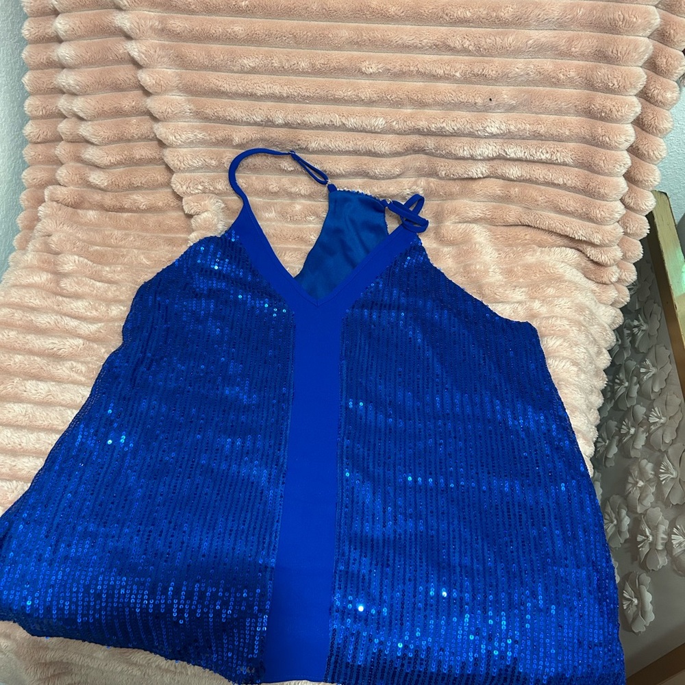 Shimmering Blue Sequin Top